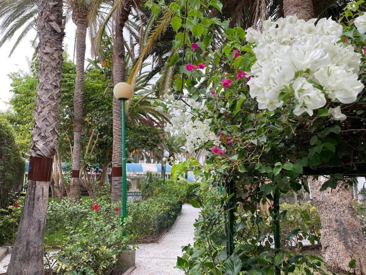 Surycan Tropical Garden Apartment Playa del Ingles  Ngoại thất bức ảnh